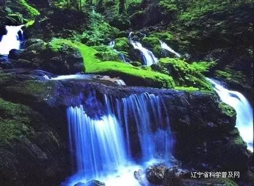 壮观!盐城东台条子泥湿地现冰封潮汐树景观